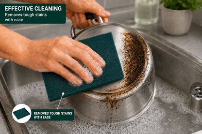 SCOURING PAD (LARGE) PACK OF 1