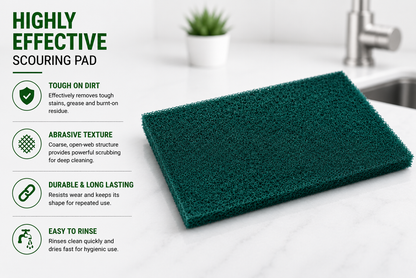 SCOURING PAD (LARGE) PACK OF 1