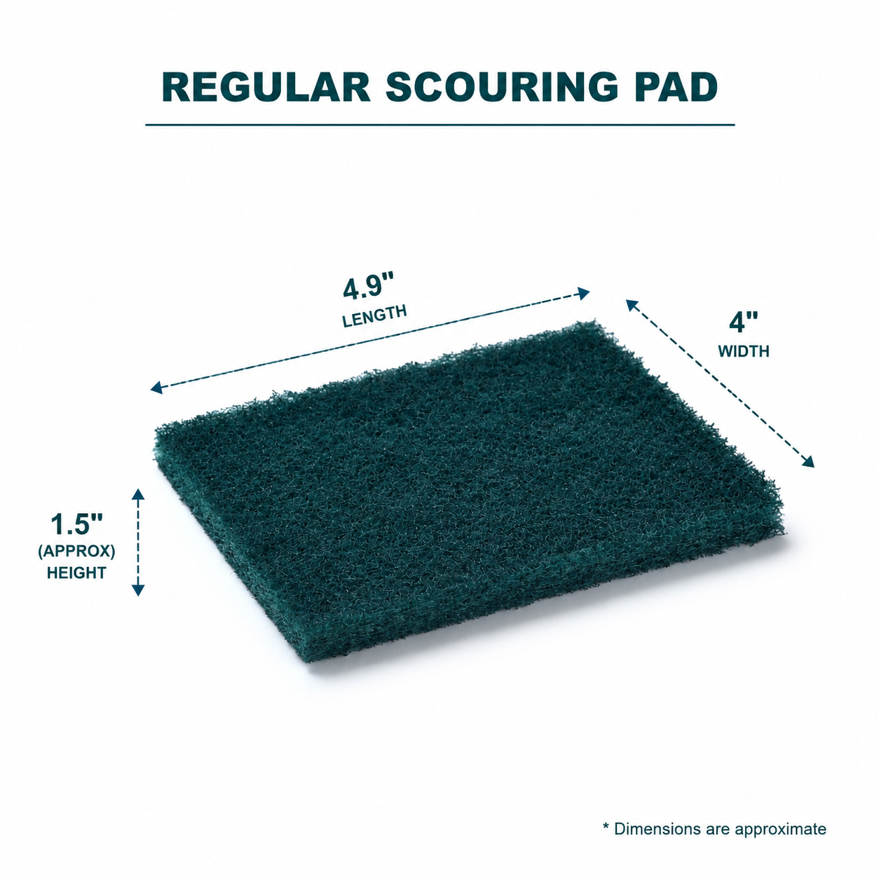 SCOURING PADS (REGULAR) 2 IN 1