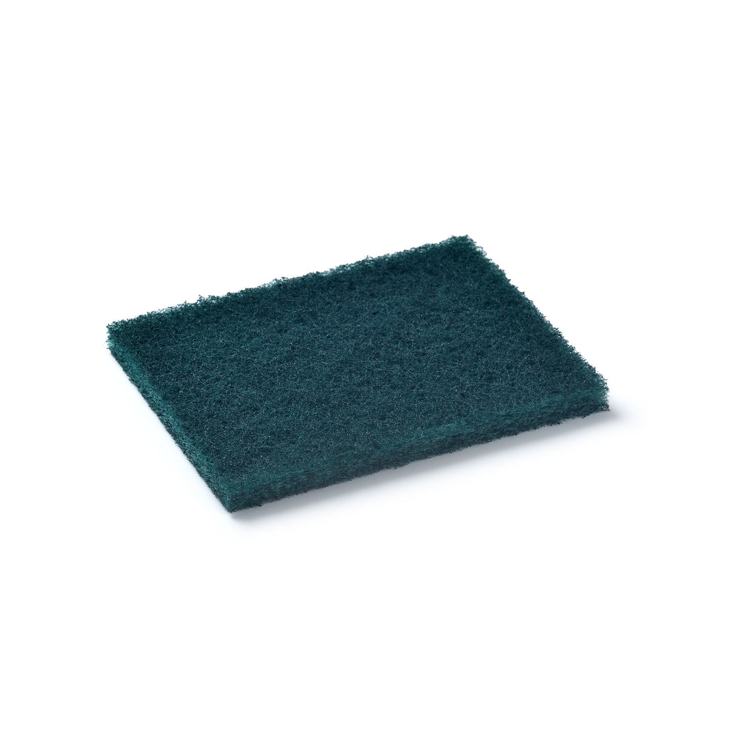 SCOURING PADS (REGULAR) 2 IN 1