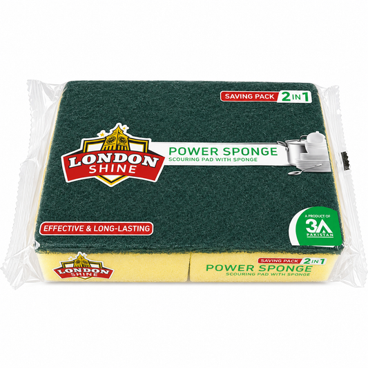 POWER SPONGE (REGULAR) 2 IN 1