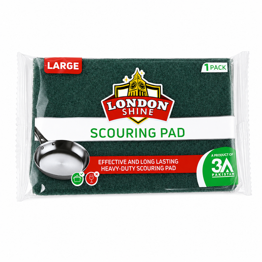 SCOURING PAD (LARGE) PACK OF 1